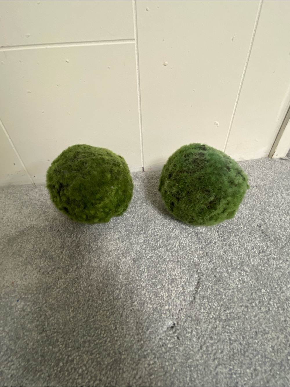 Decorative Moss Ball Set - Green -